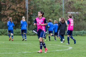 Bild 99 - B-Juniorinnen HSV - SV BW Hohen Neuendorf